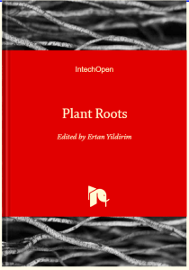 Plant Root